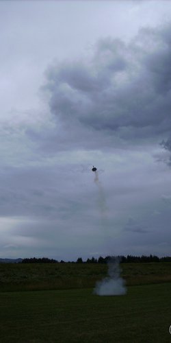 2013 Suche 29062013 Olivera